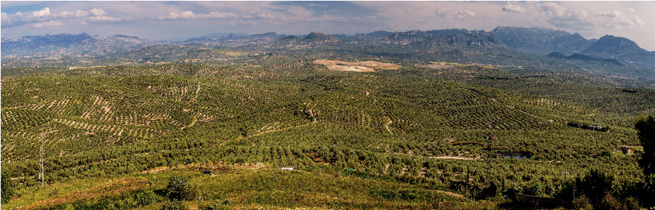 El paisaje Giennense